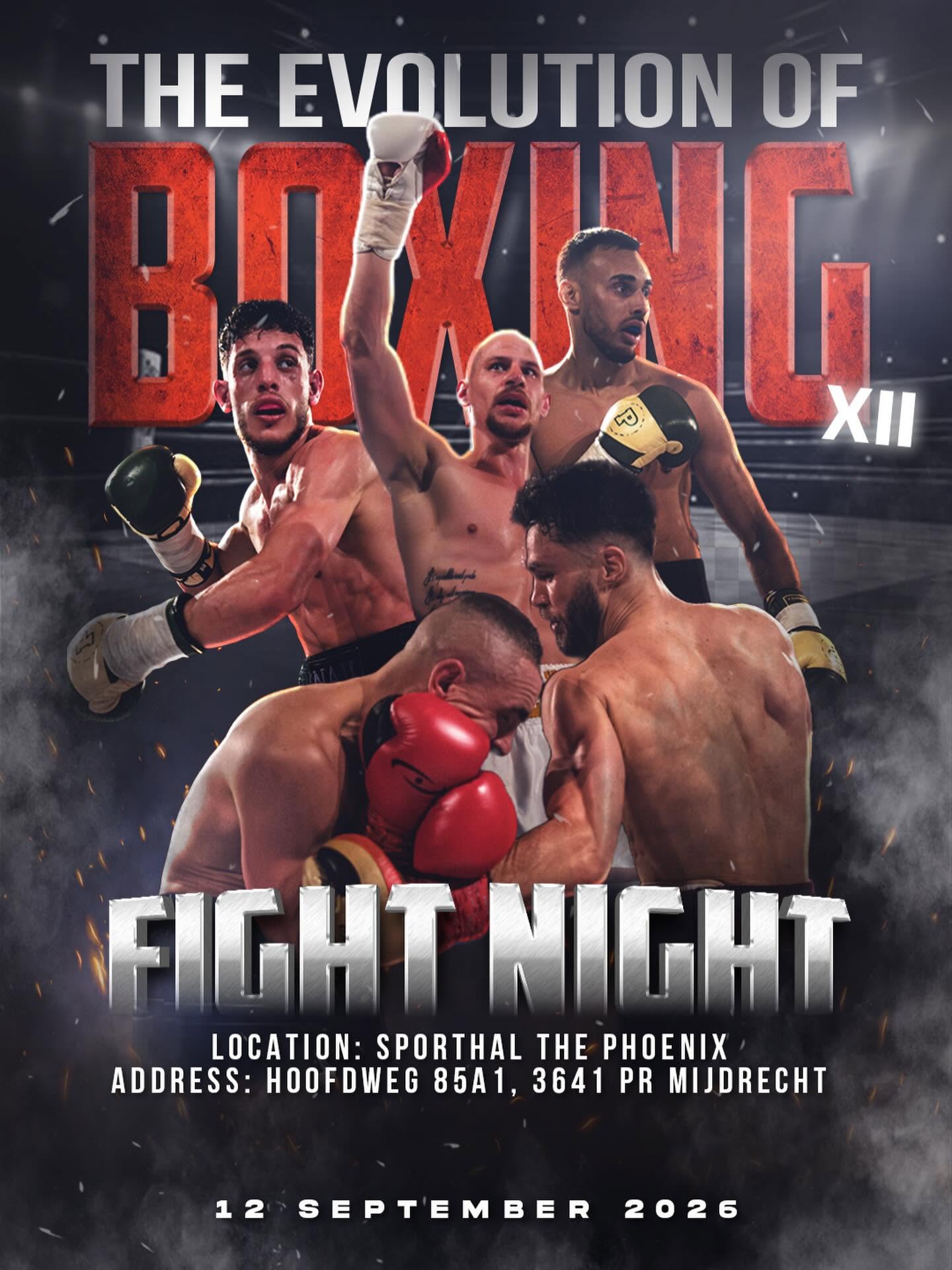 Poster The Evolution of Boxing