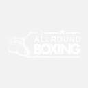 Allround Boxing logo