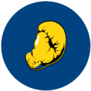 BAV Frisia logo
