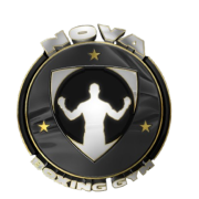 Boxinggym Nova logo