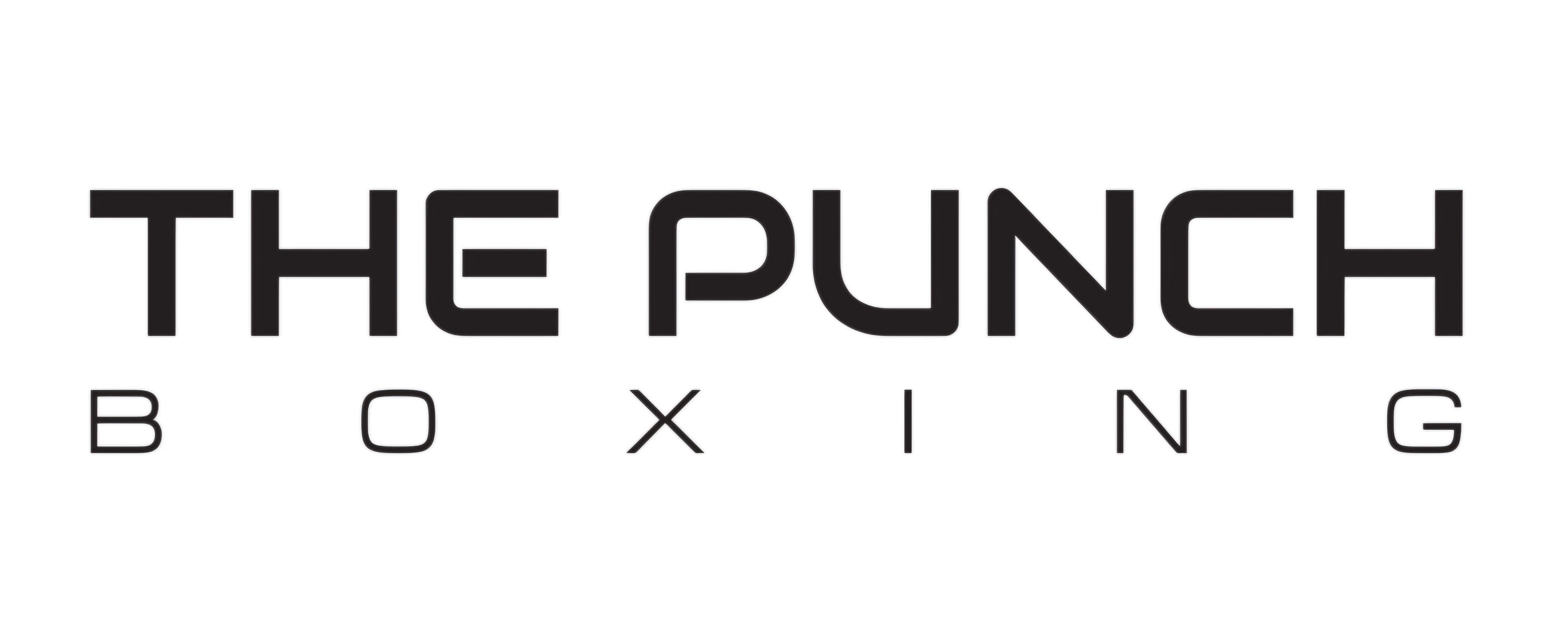 The Punch Boxing Tilburg logo