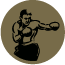 De Haagse Directe logo