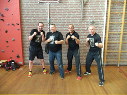 Verhaegen Sports-Boxing logo